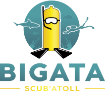 bigata-diving-logo-1664547675